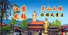插逼逼视频免费网站江苏无锡灵山大佛旅游风景区